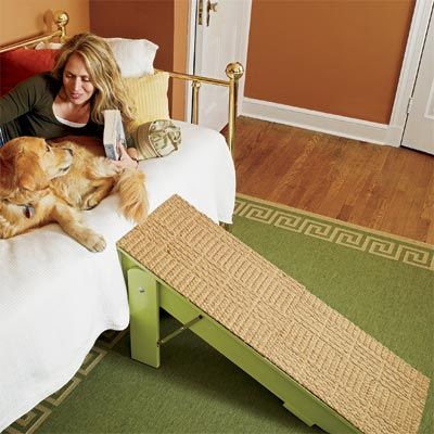 Dog laying on a bed and there is a dog ramp next to the bed