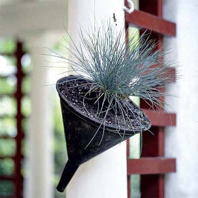 a funnel that is filled with soil and a plant