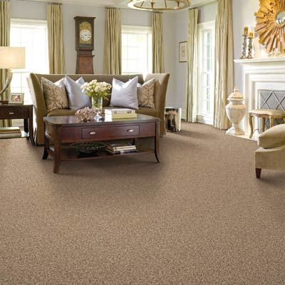 Flooring Fundamentals: Carpet Guide