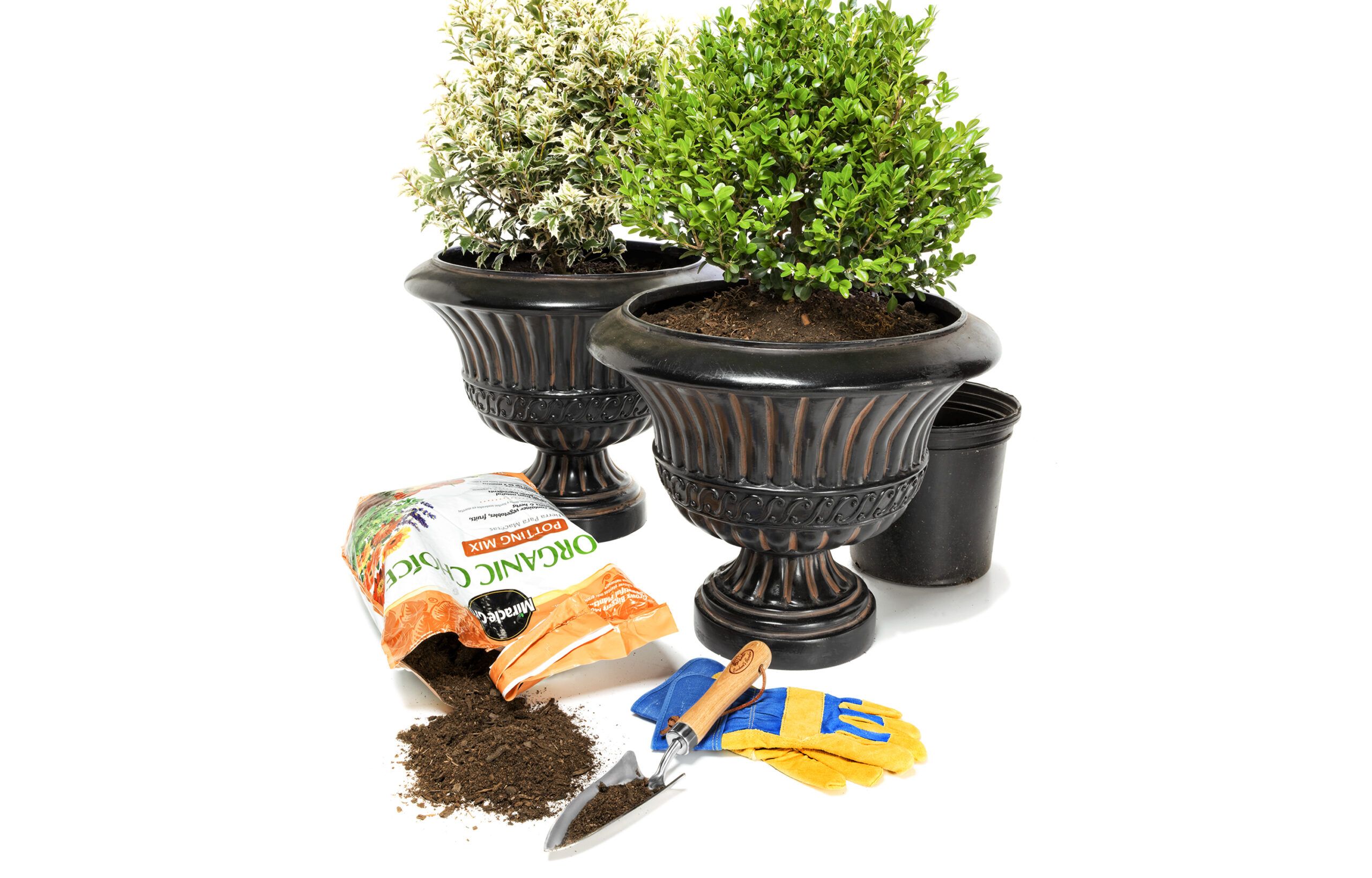 Patio containers to add color to a space at a low cost.