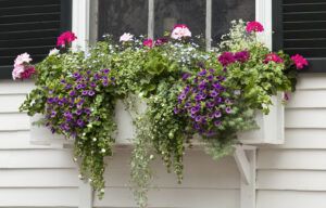 Window Planter Boxes: How To Create the Best Display - This Old House