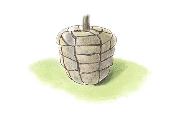 Illustration of the bottom of a tree that is wrapped in burlap.