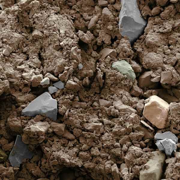 sand and rocks in a yard