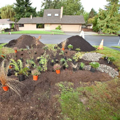 Potted plants are positioned out were they will be planted in the rain garden.