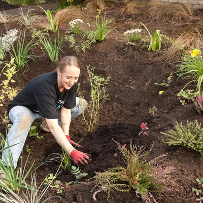 A person mulches around the freshly planted plants in the rain garden.
