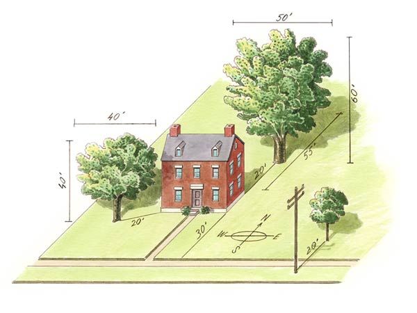 Illustration with measurements showing how far away from a house or powerline you should plant a tree based on its height and width.