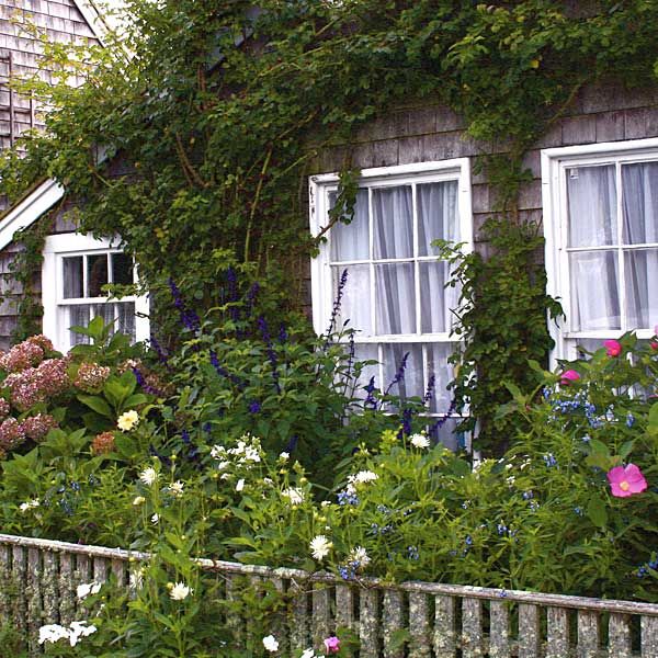 outside the windows of a cottage are a collection of colorful plants and flowers