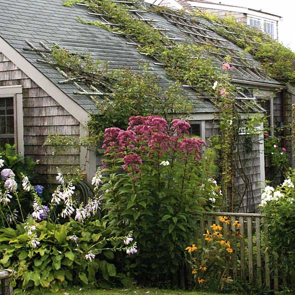 a very colorful array of plants and flowers surrounding a cottage