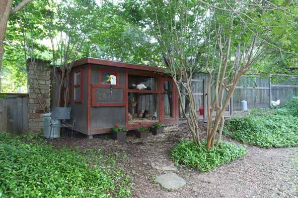 A chicken coop built in a back yard.