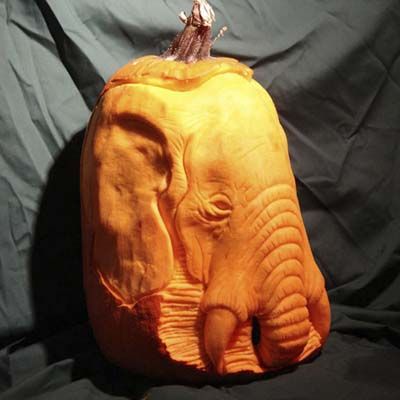 elephant pumpkin stencil