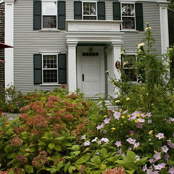 a classic home surrounded by classic plants and flowers in a cottage garden