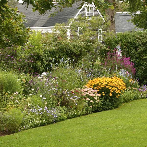 a border of plants and flowers in a cottage garden