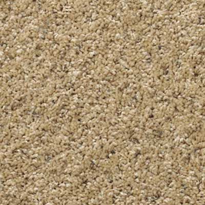 an up close view of a cut pile style of carpet