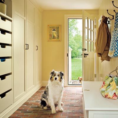 a dog inside of a mudroom that shows a lot of closets and drawers for storage