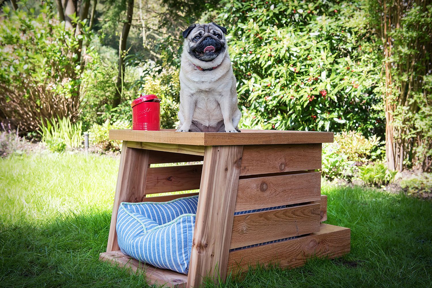 11_real_cedar_doghouse
