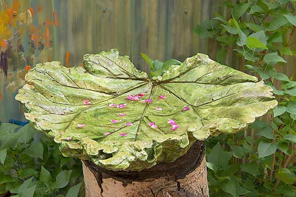 How to sculpt birdbath from a rhubarb leaf