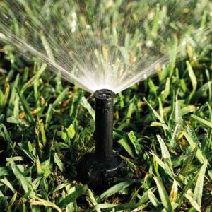 11 Ways to Save Water, Time, and Money on Your Landscape - This Old House