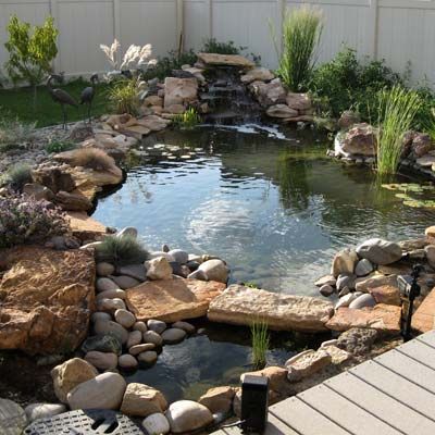 Best Ponds from Readers Yards - This Old House