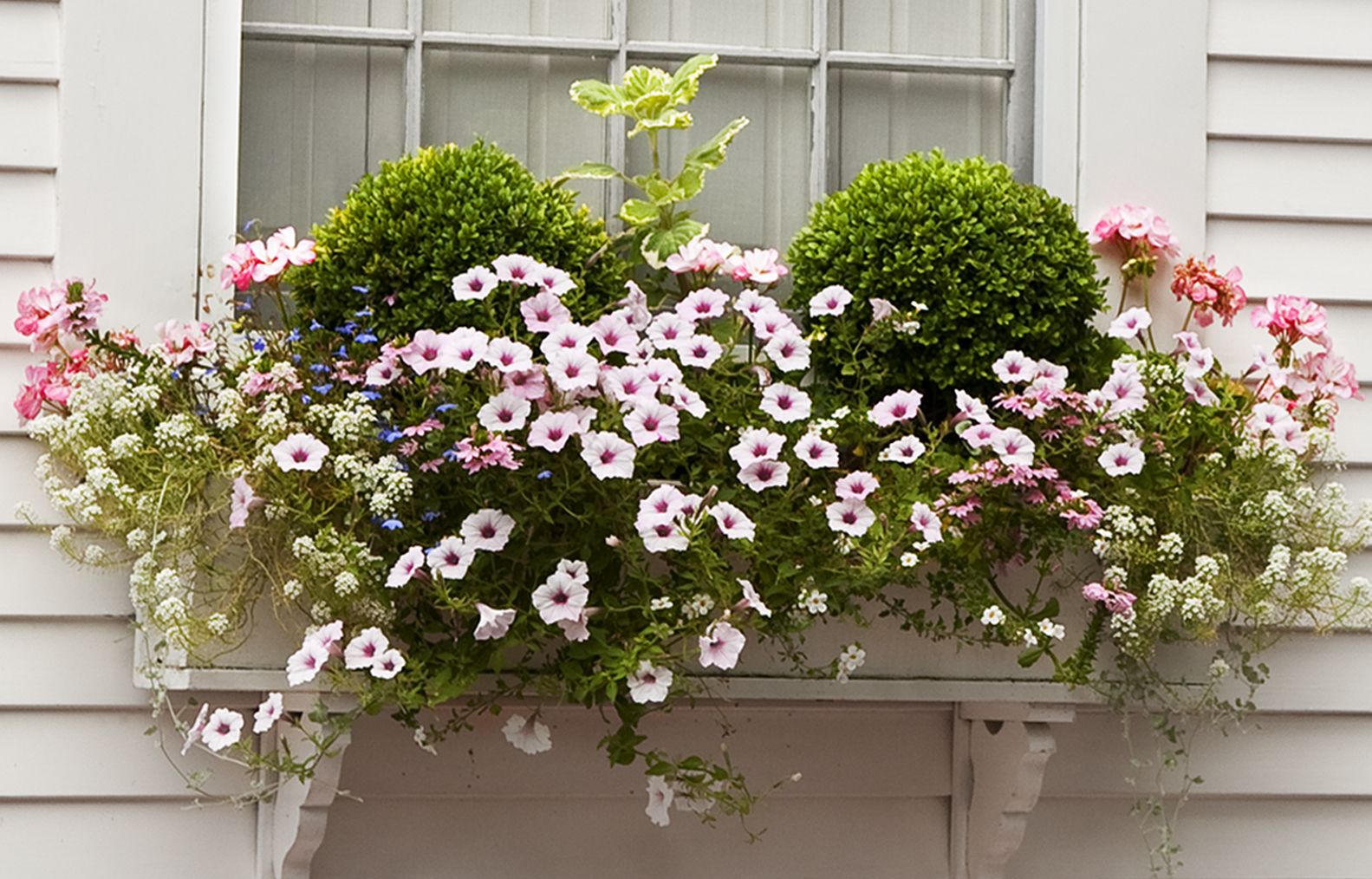 floating spheres in a window planter