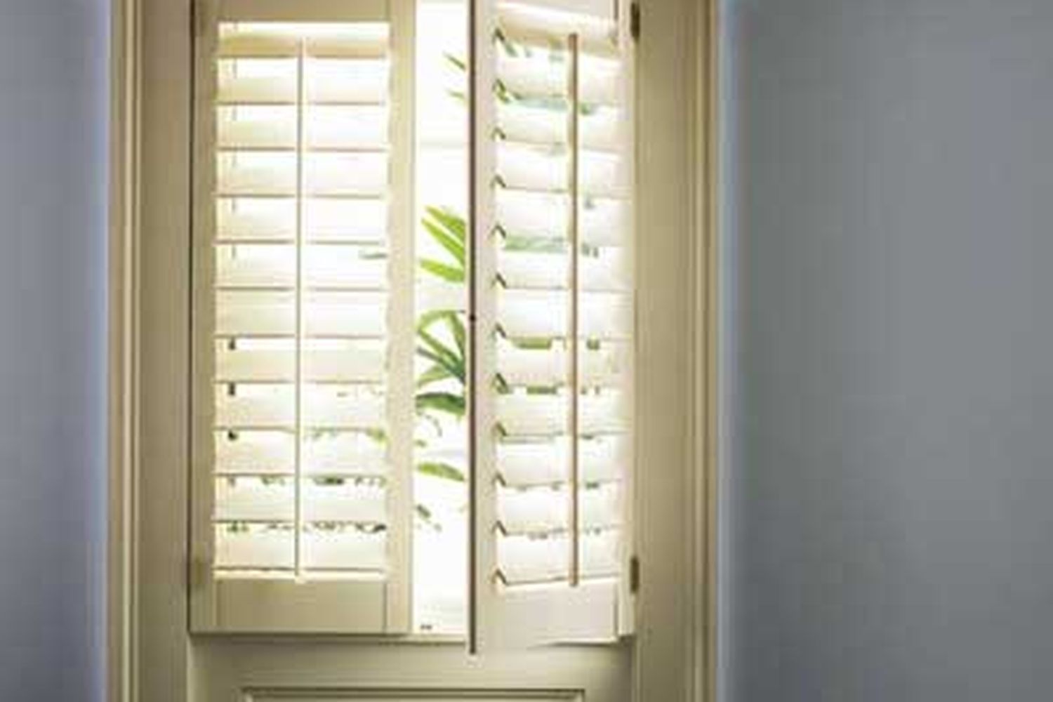 A set of interior shutters inside a home, with a plant on the opposite side from the camera.