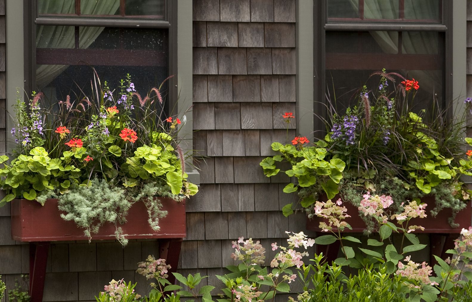 seasonal plants within a window planter