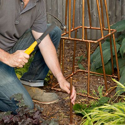 Easy to Make Copper Trellis  Perfect for Taming Your Wild Hoyas 