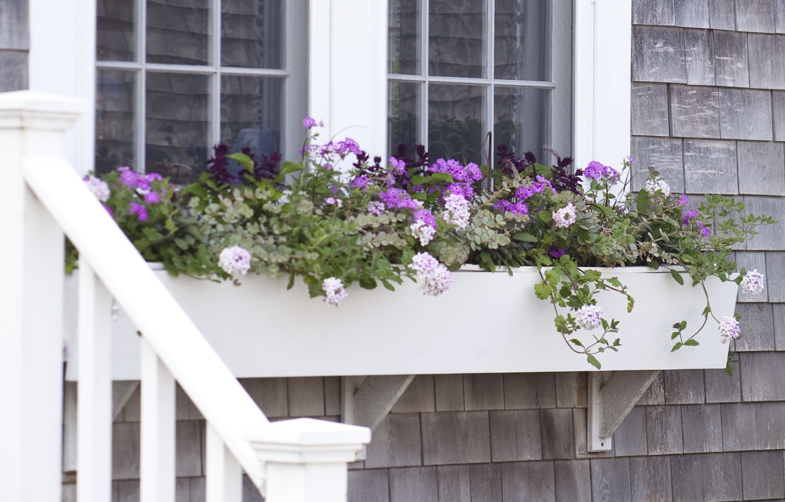 mirror image in a window planter