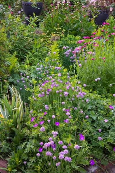 Creating a Secret Garden - This Old House