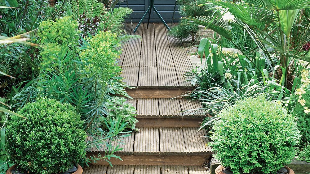 2009_05_exterior_decking_lush_plantlife