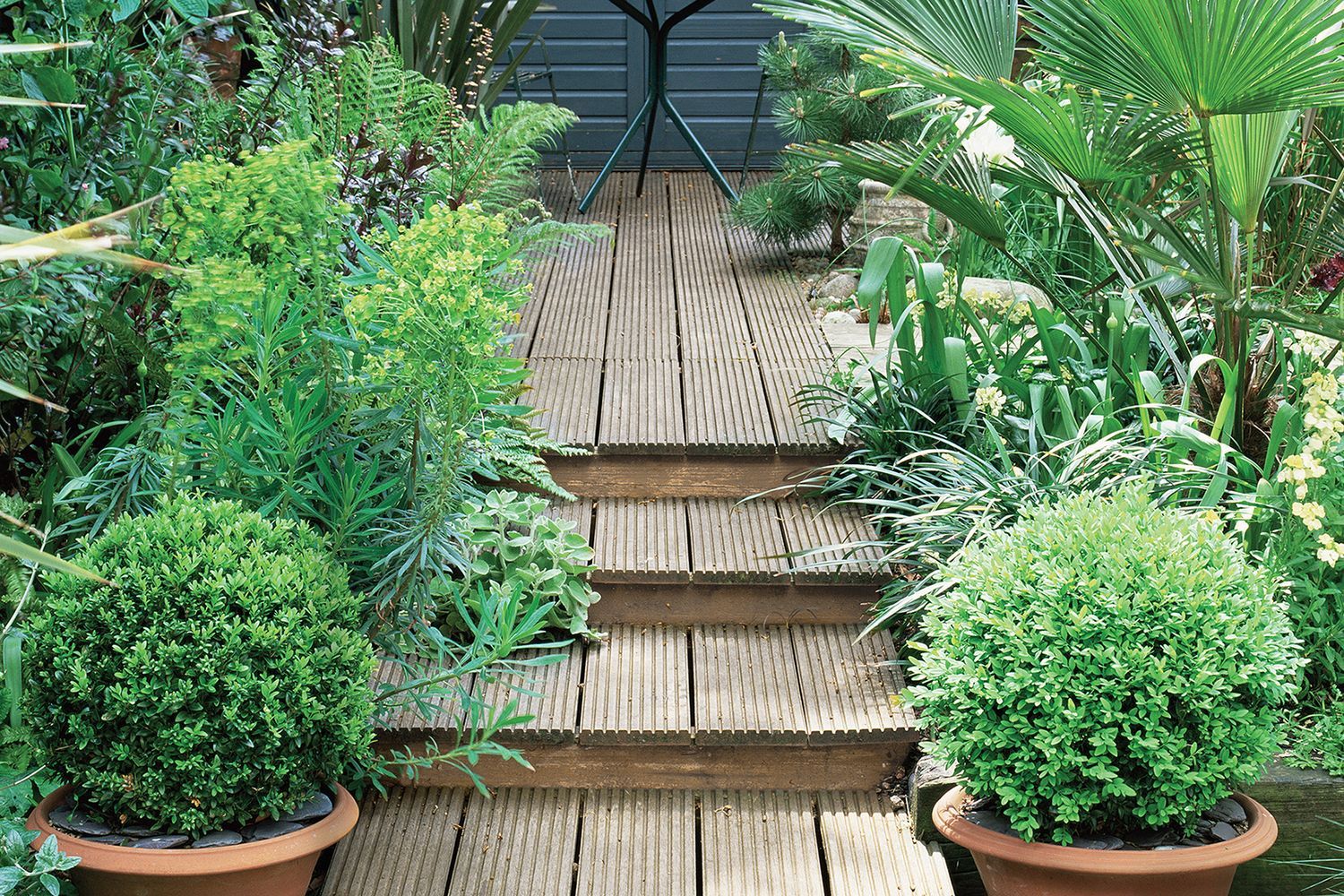 2009_05_exterior_decking_lush_plantlife