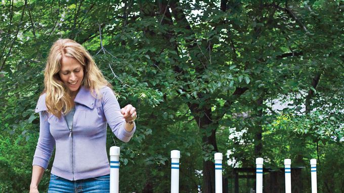 Dog weaving through poles