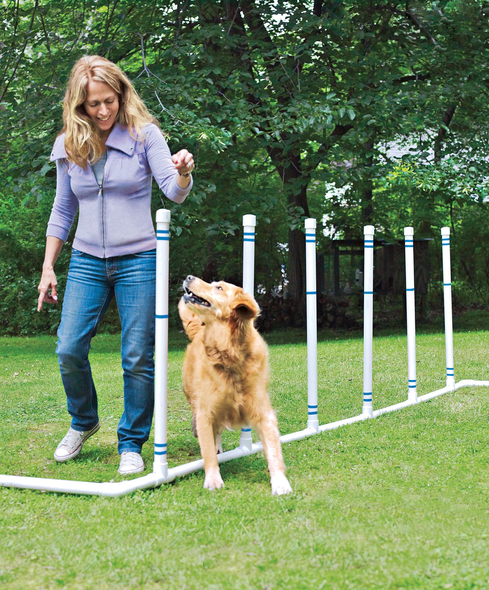 Recycled Intermediate Dog Course - 6 piece