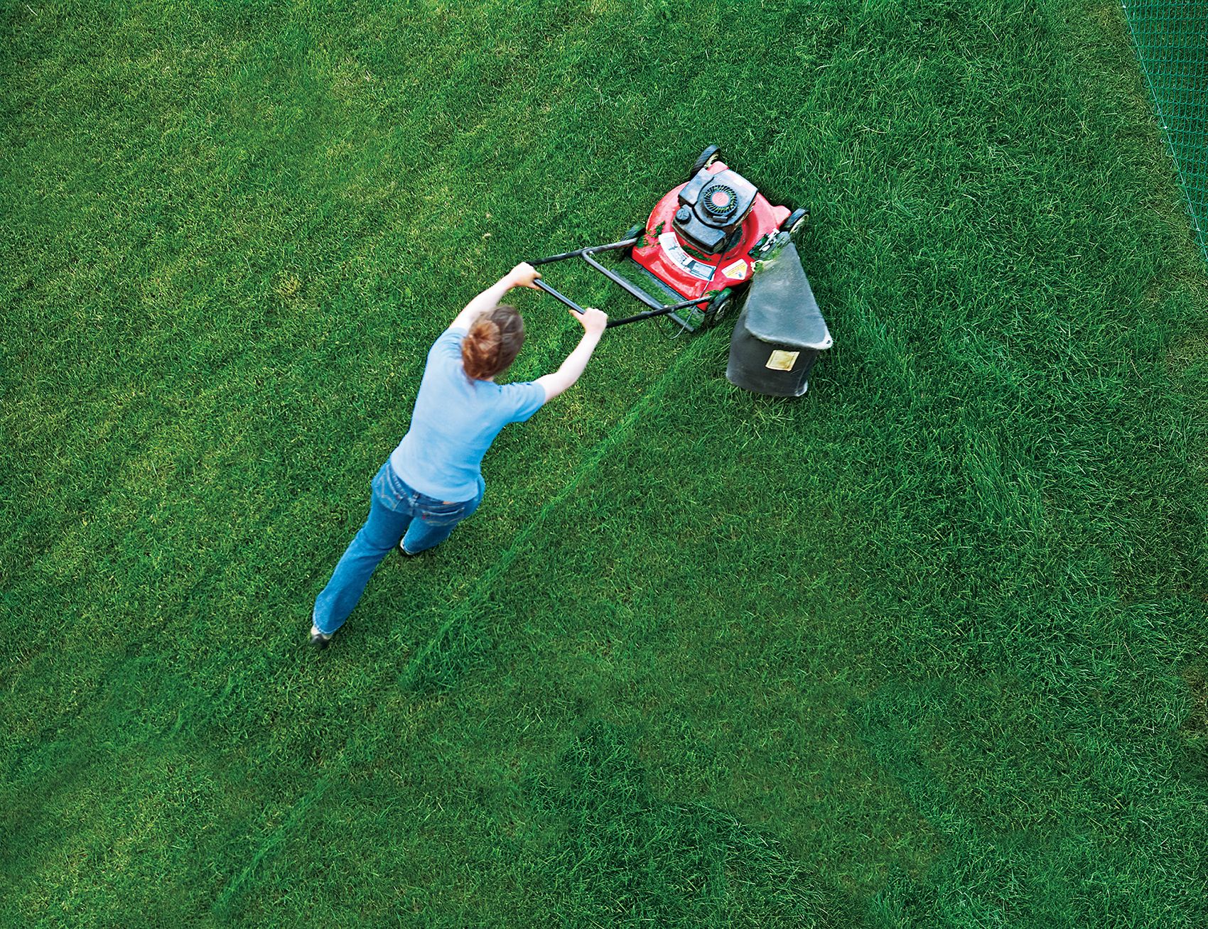 Fiskars Momentum: The Eco-Friendly Push Reel Lawn Mower 