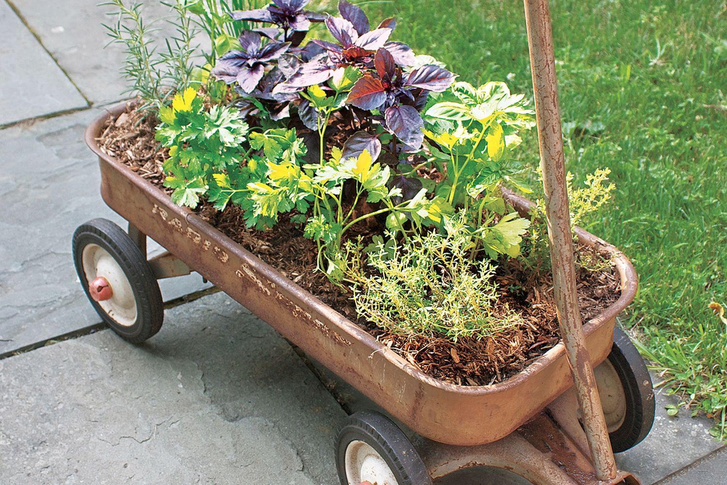 Herb planting in a wagon