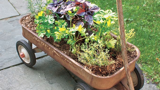 Herb planting in a wagon