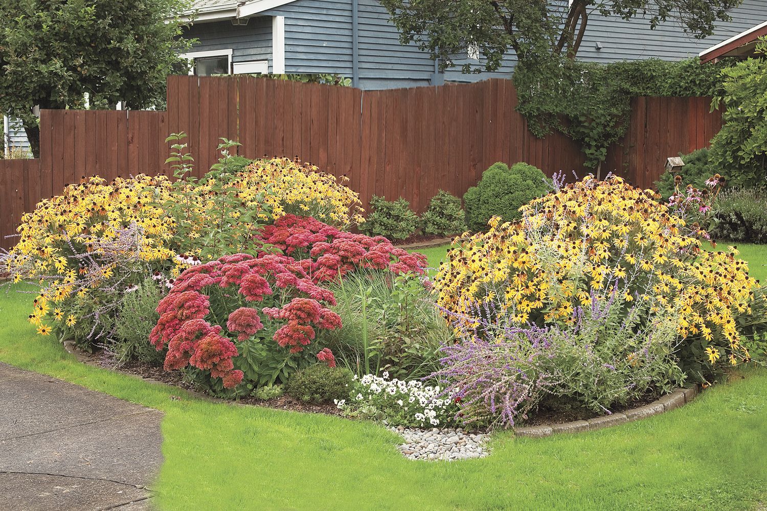 A rain garden full of flowering plants.
