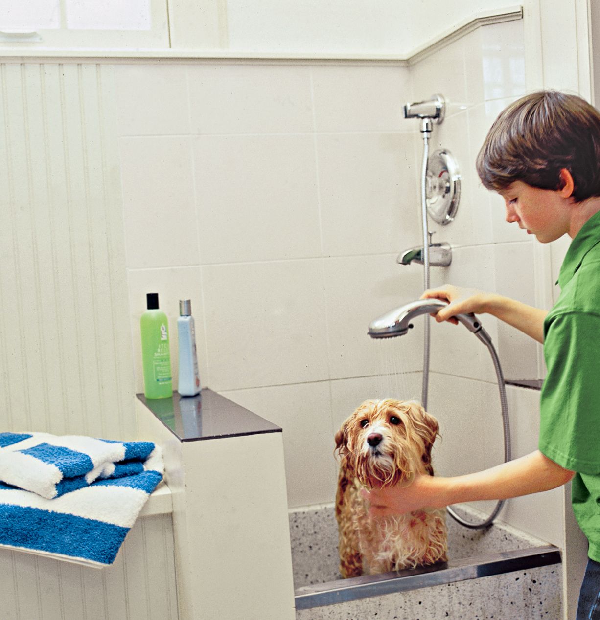 A boy uses a dog cleaning station to clean his dog.