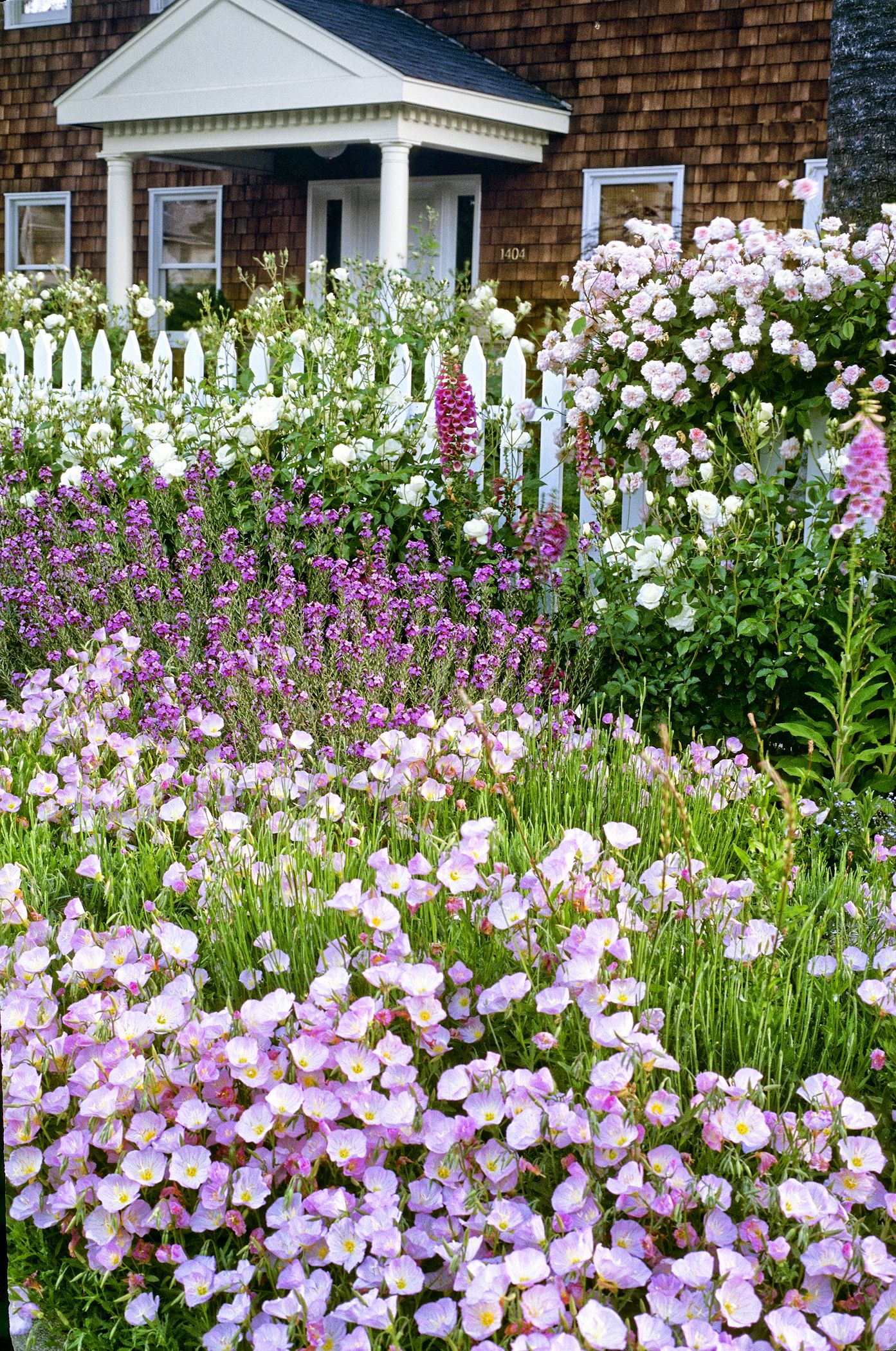 Developing a Cottage Garden