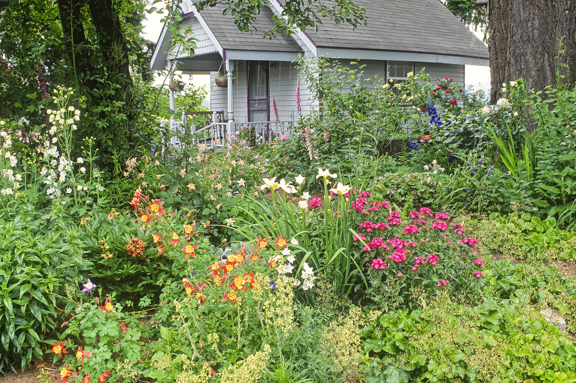 Beautiful Cottage Flower Garden