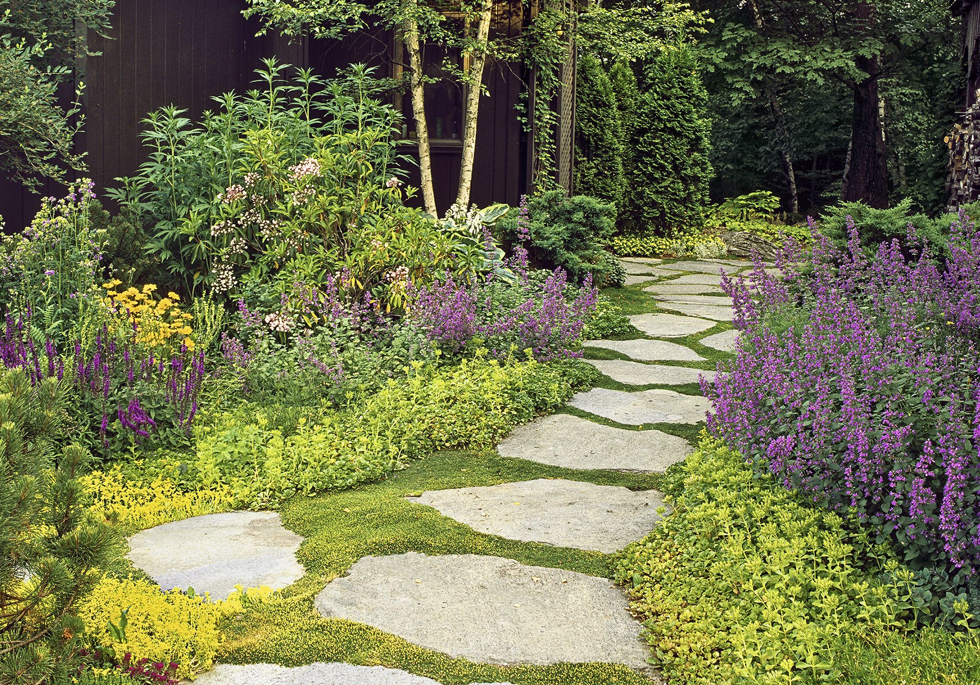 9 Types of Moss for a Colorful, Textural Garden