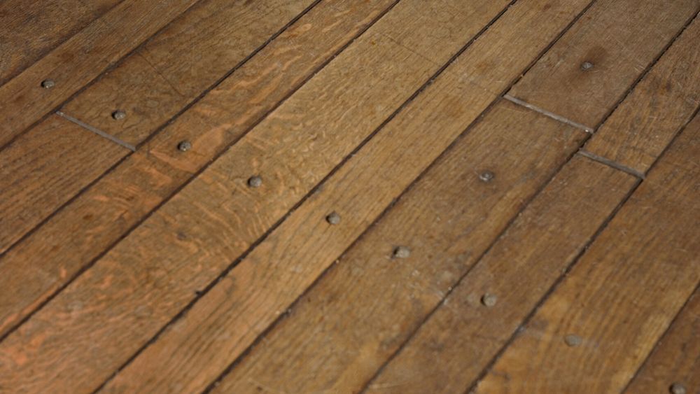 a dog on a wood floor with scratches