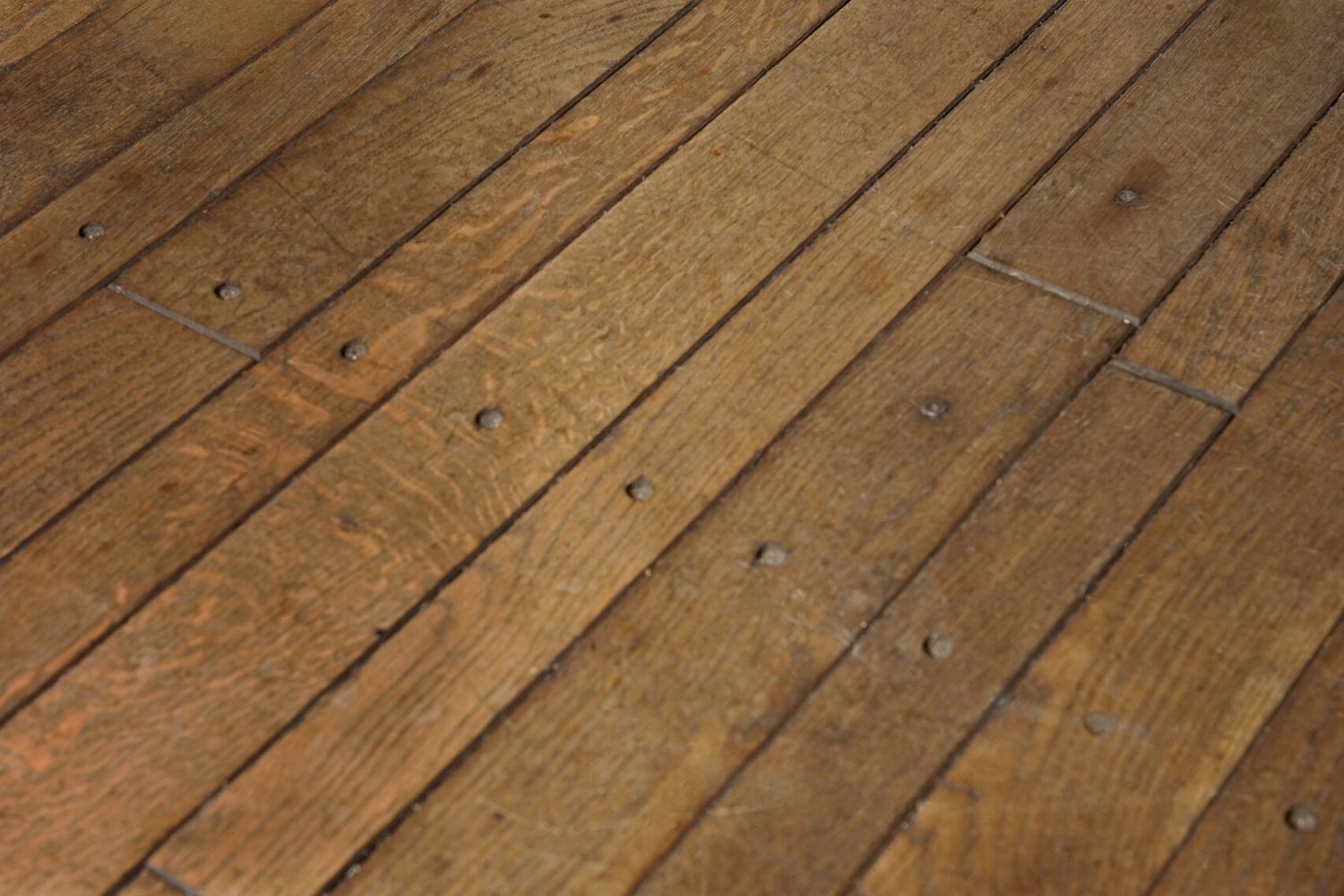 a dog on a wood floor with scratches