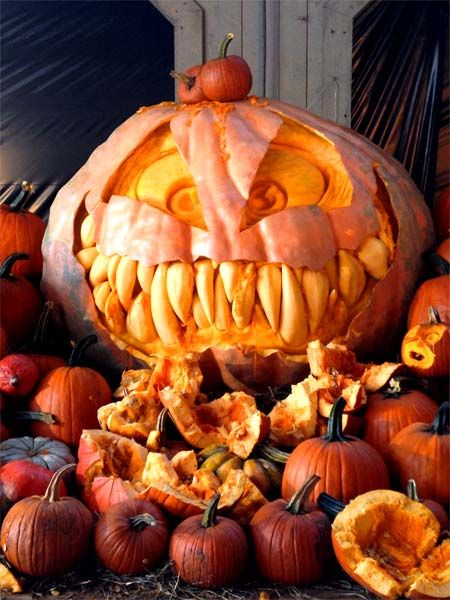 Editors Picks: Best Pumpkin Carvings Ever - This Old House