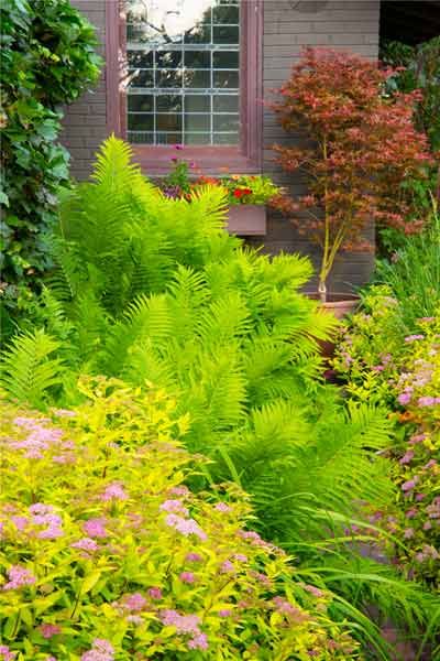 Creating a Secret Garden - This Old House