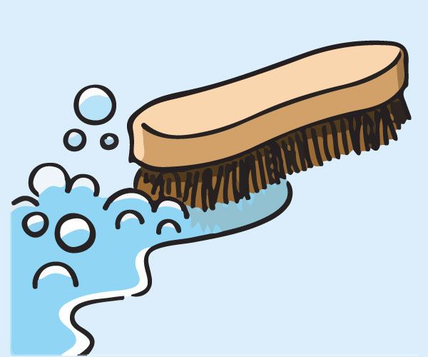 An illustration of a scrubbing brush with suds.