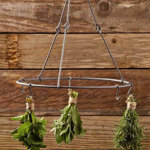 Herbs hanging on a drying rack to be dried out and preserved.