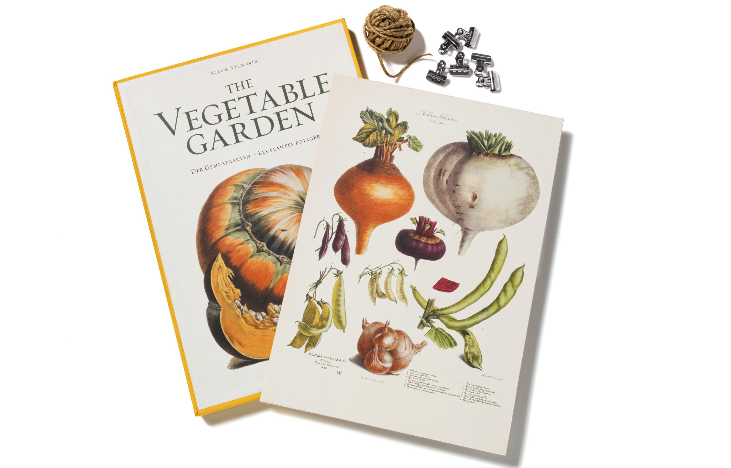 Vegetable art prints for the kitchen.