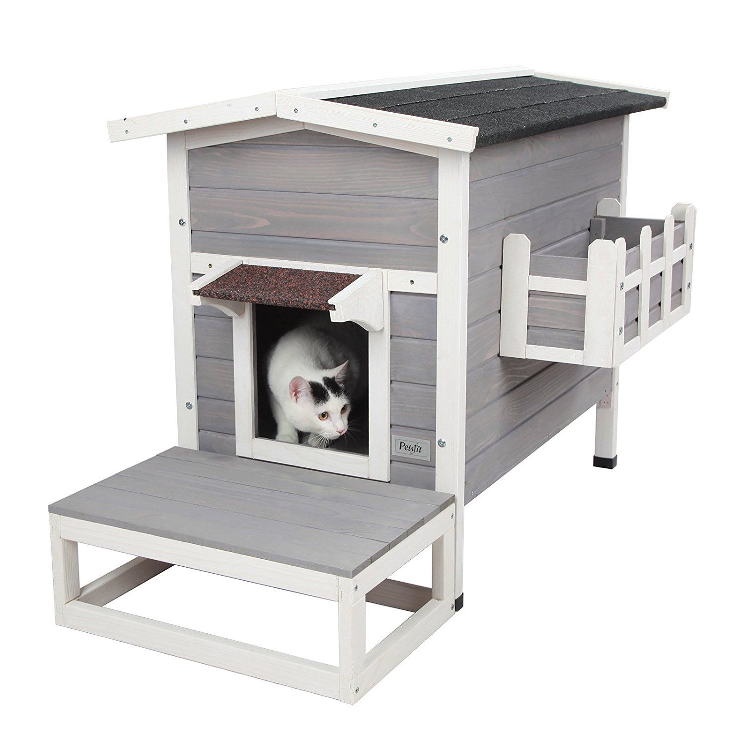 Cat Home Shopping Guide - This Old House