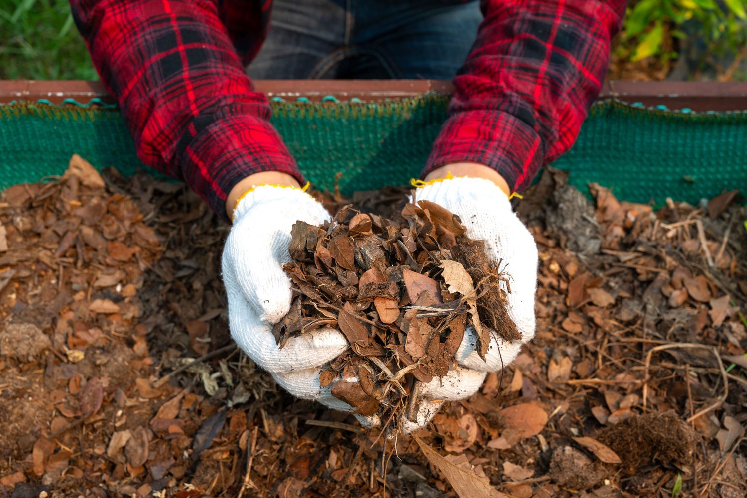 Composting Leaves