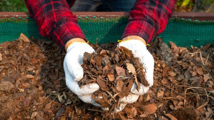 Composting Leaves